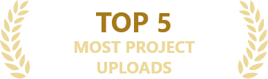Top 5 Most Projects Upload