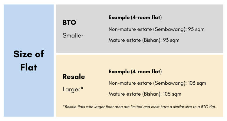 Size of the flat infographic