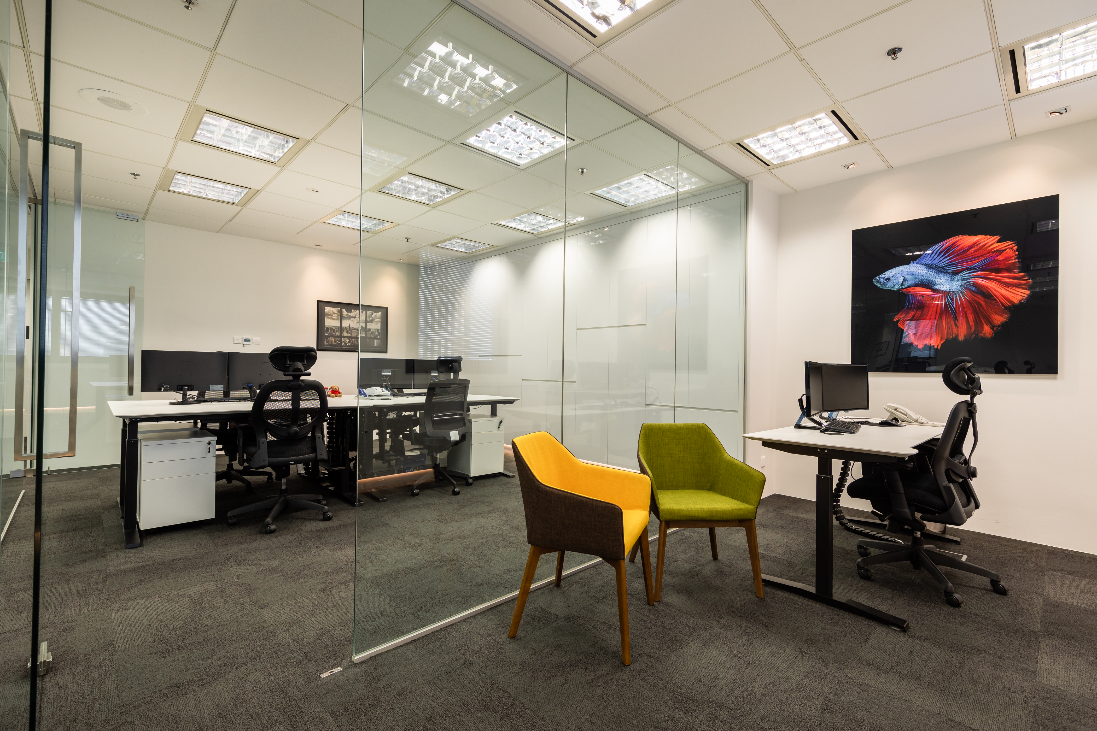 Modern Design - Commercial - Office - Design by Renozone Interior Design House