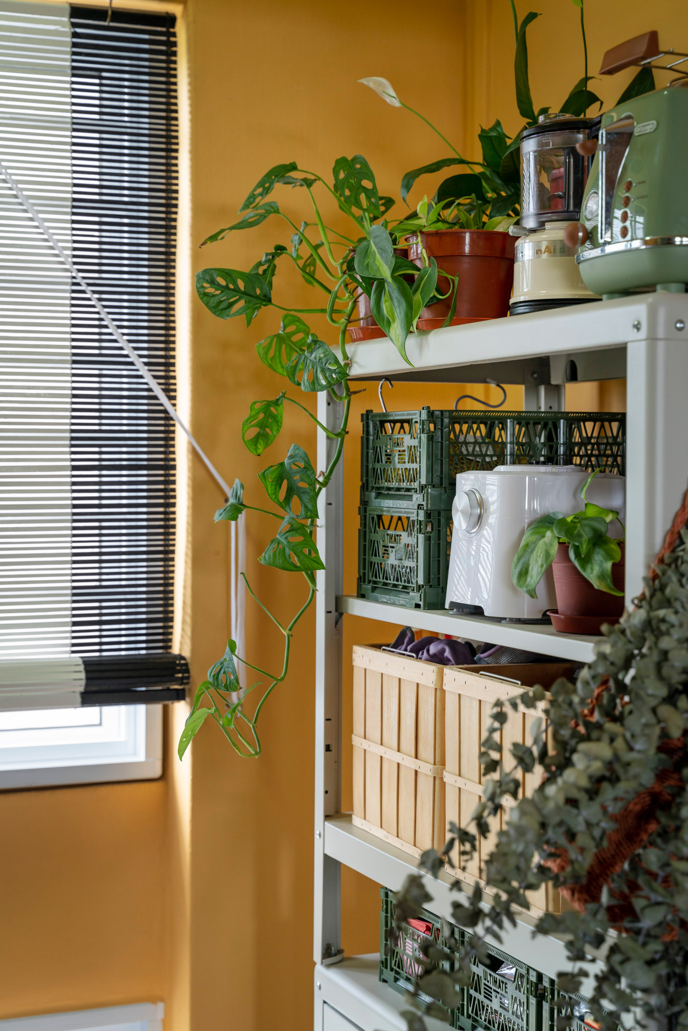 Eclectic, Rustic, Tropical Design - Kitchen - HDB Executive Apartment - Design by The Alchemists Design